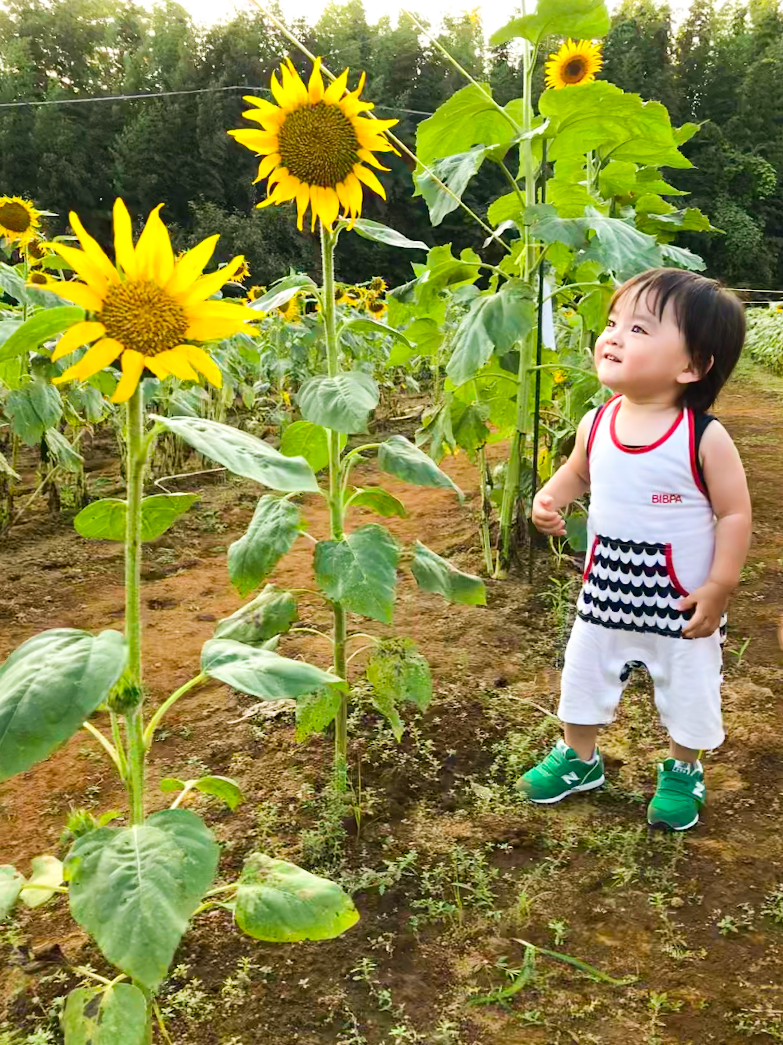 木村 りっと