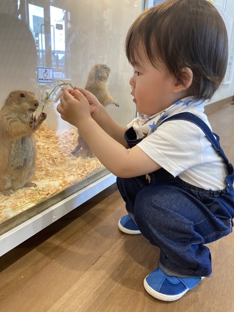 藤井 颯人